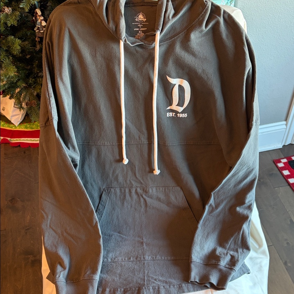 Disney Gray Hoodie with White Drawstrings